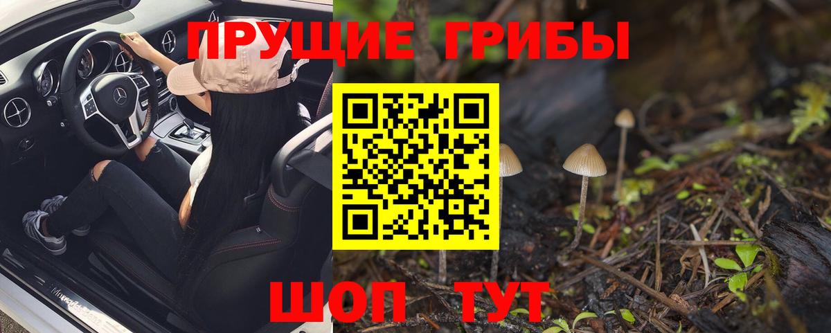 Псилоцибиновые грибы мицелий  Вход с VPN  Анапа 